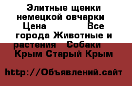 Элитные щенки немецкой овчарки › Цена ­ 30 000 - Все города Животные и растения » Собаки   . Крым,Старый Крым